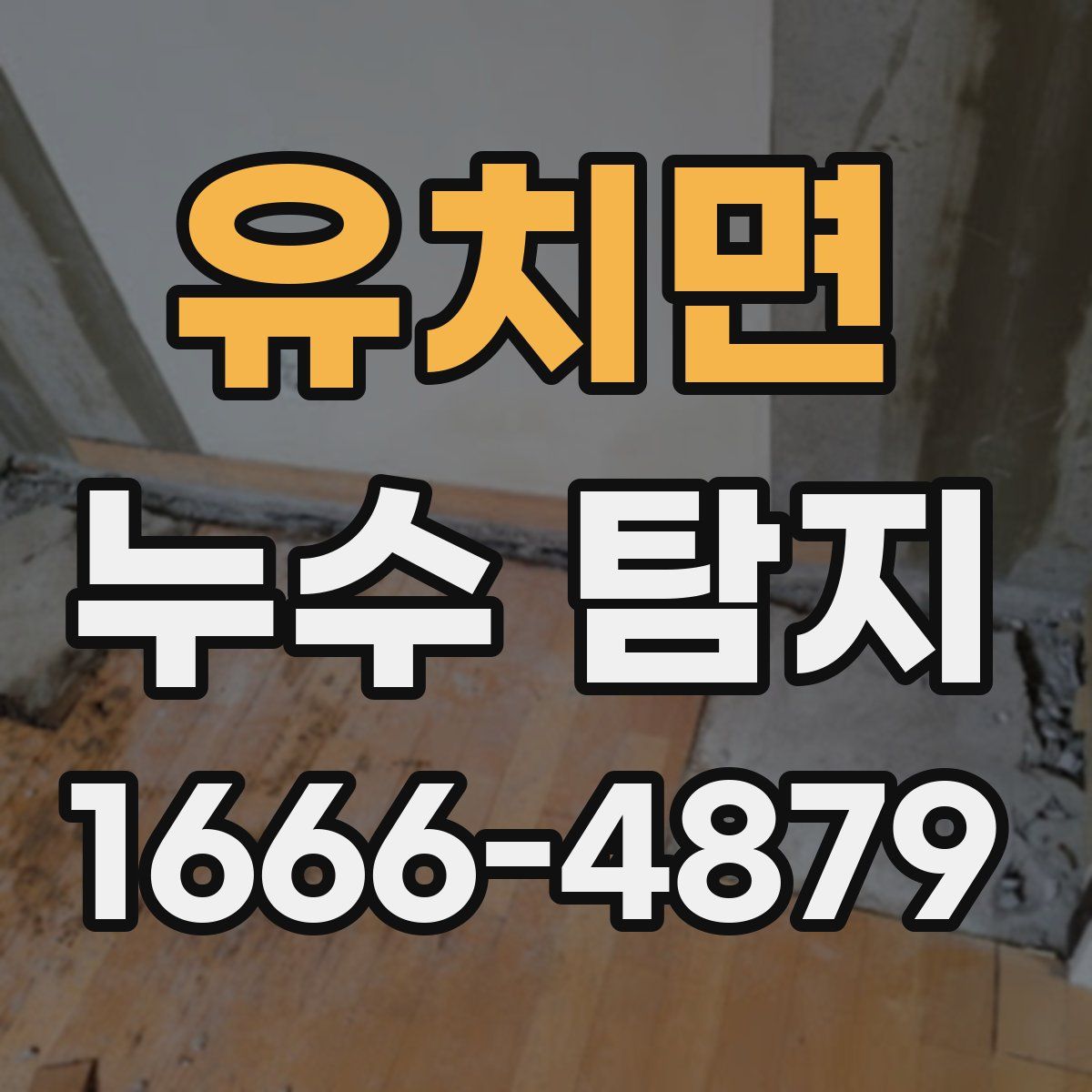 유치면 누수 탐지