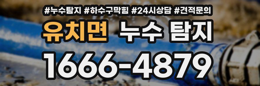 유치면 누수 탐지