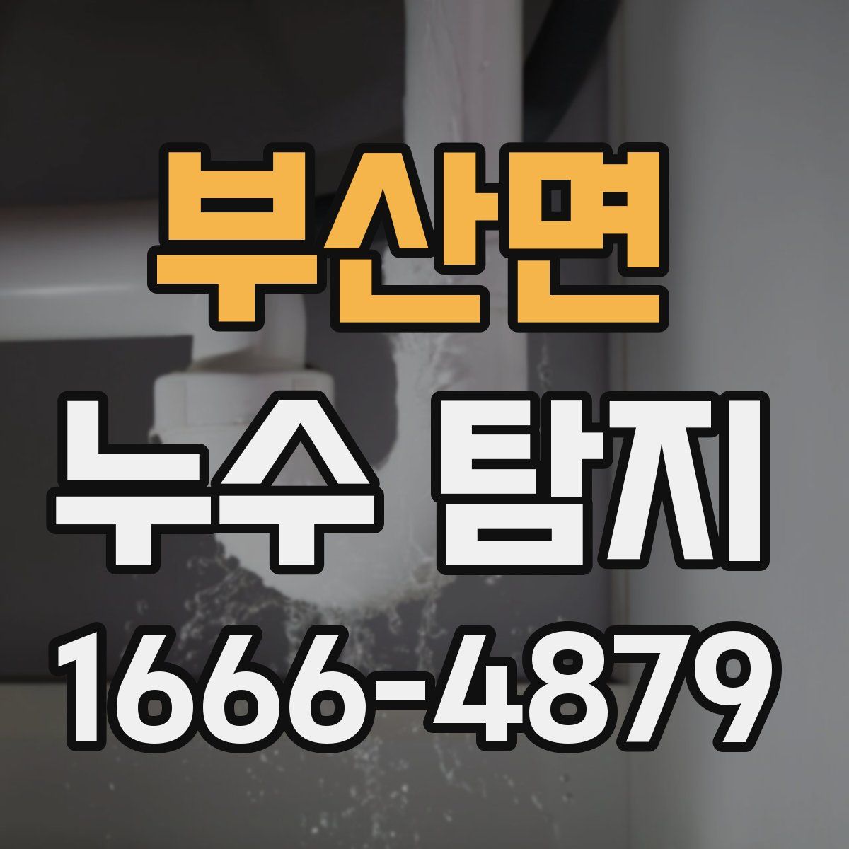 부산면 누수 탐지