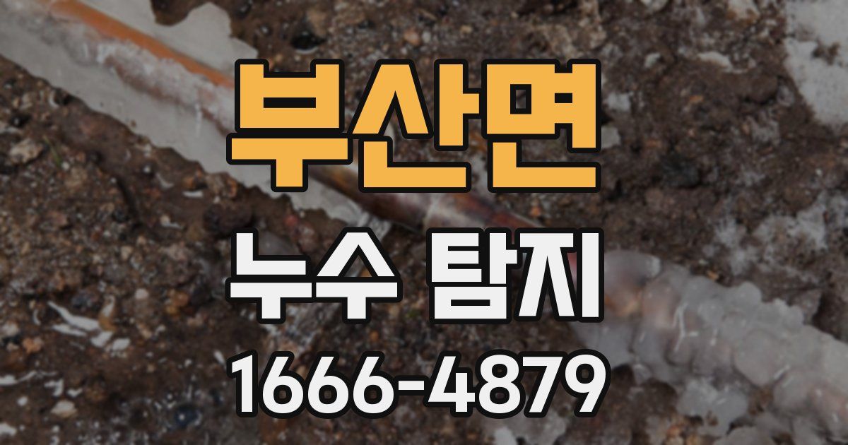 부산면 누수 탐지
