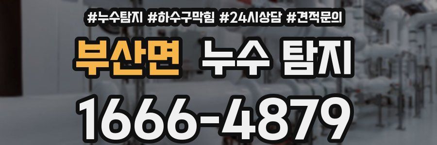 부산면 누수 탐지