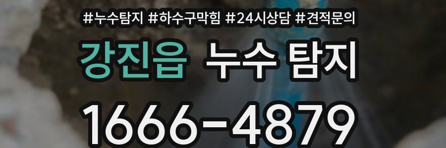 강진읍 누수 탐지