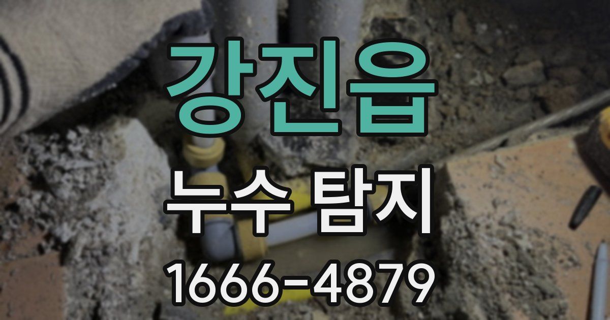 강진읍 누수 탐지