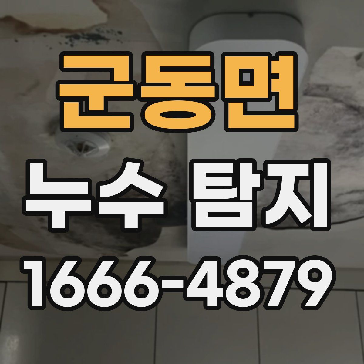 군동면 누수 탐지