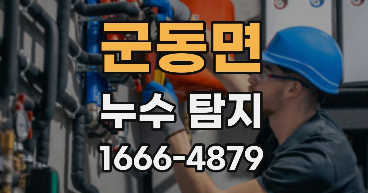 군동면 누수 탐지