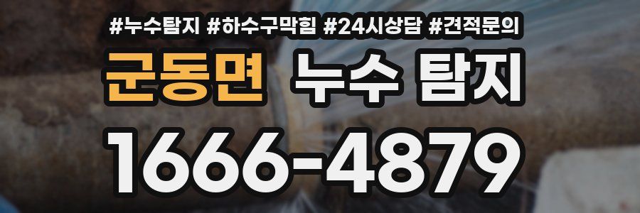 군동면 누수 탐지