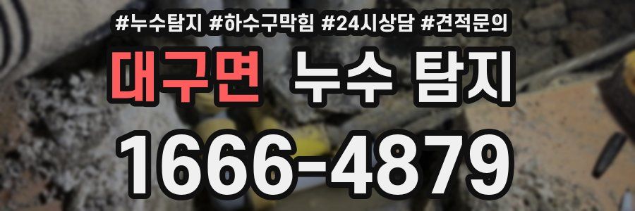 대구면 누수 탐지