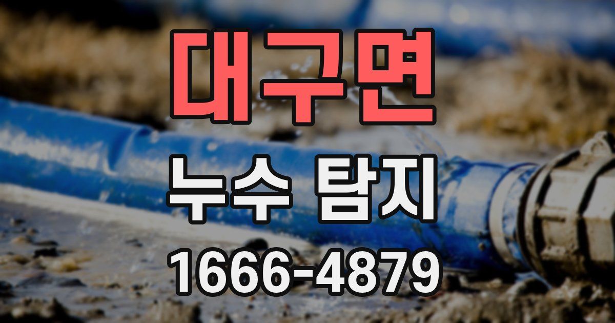 대구면 누수 탐지