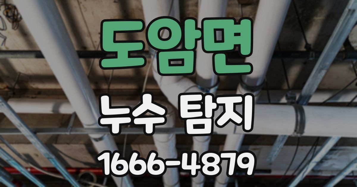 도암면 누수 탐지