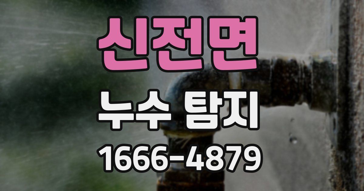 신전면 누수 탐지