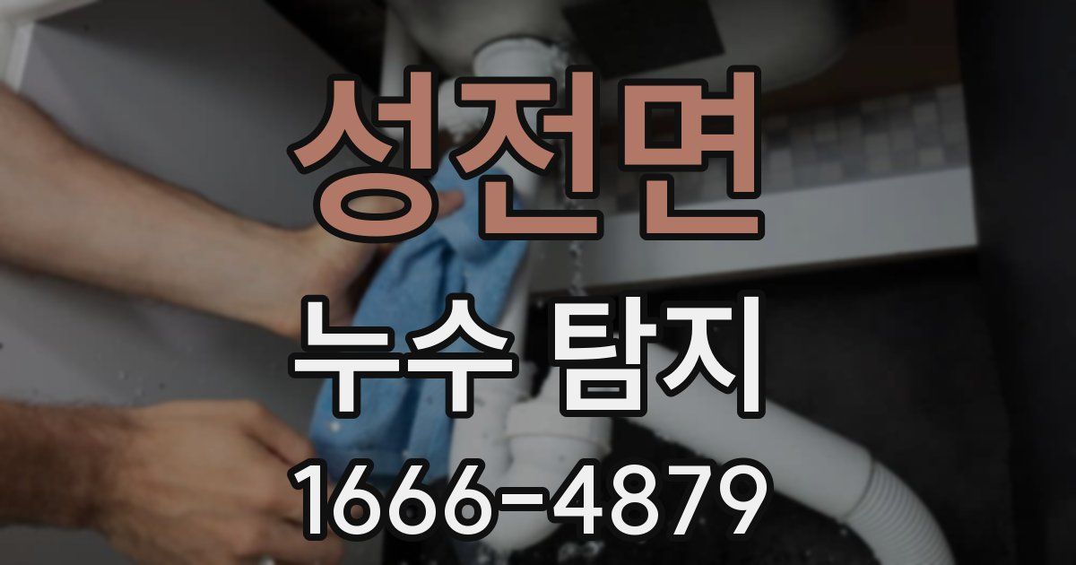 성전면 누수 탐지