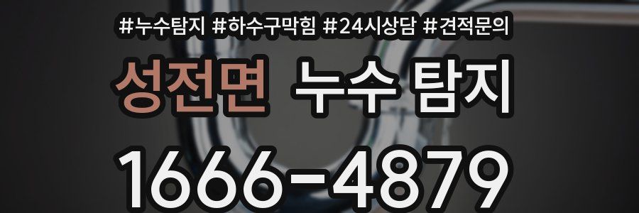 성전면 누수 탐지