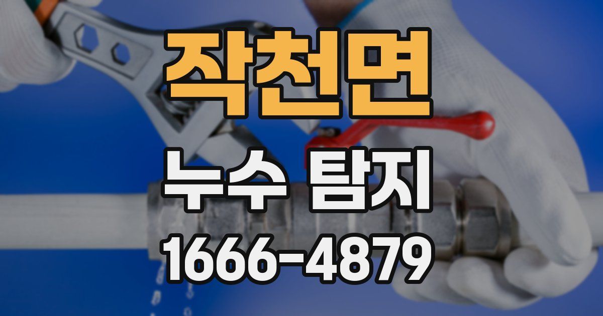 작천면 누수 탐지