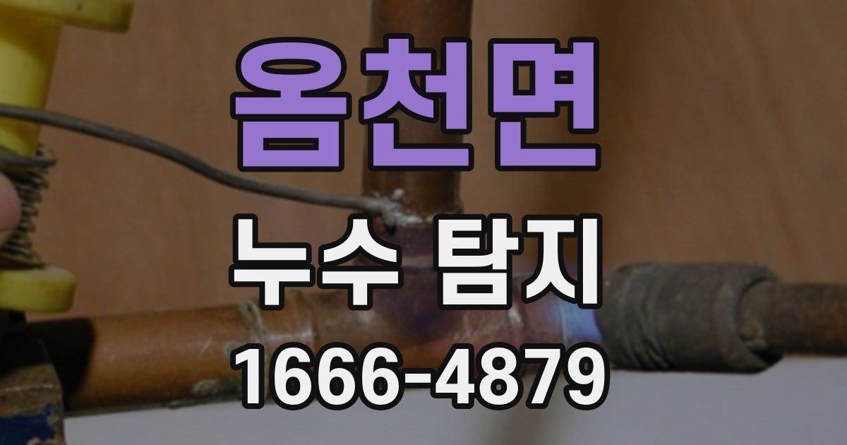 옴천면 누수 탐지