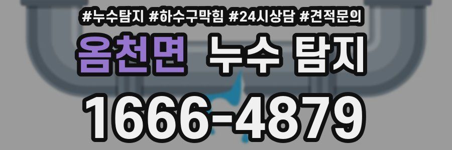옴천면 누수 탐지