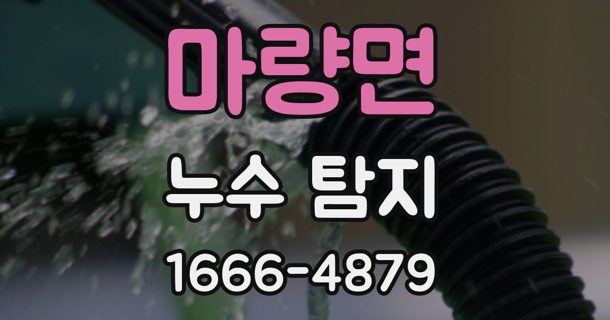 마량면 누수 탐지