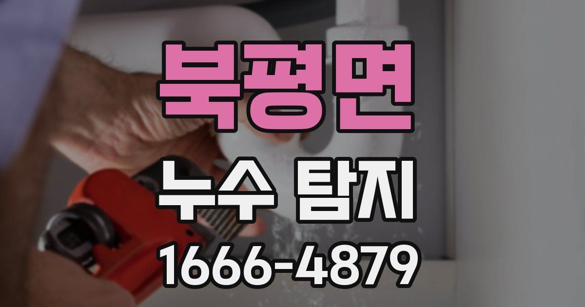 북평면 누수 탐지