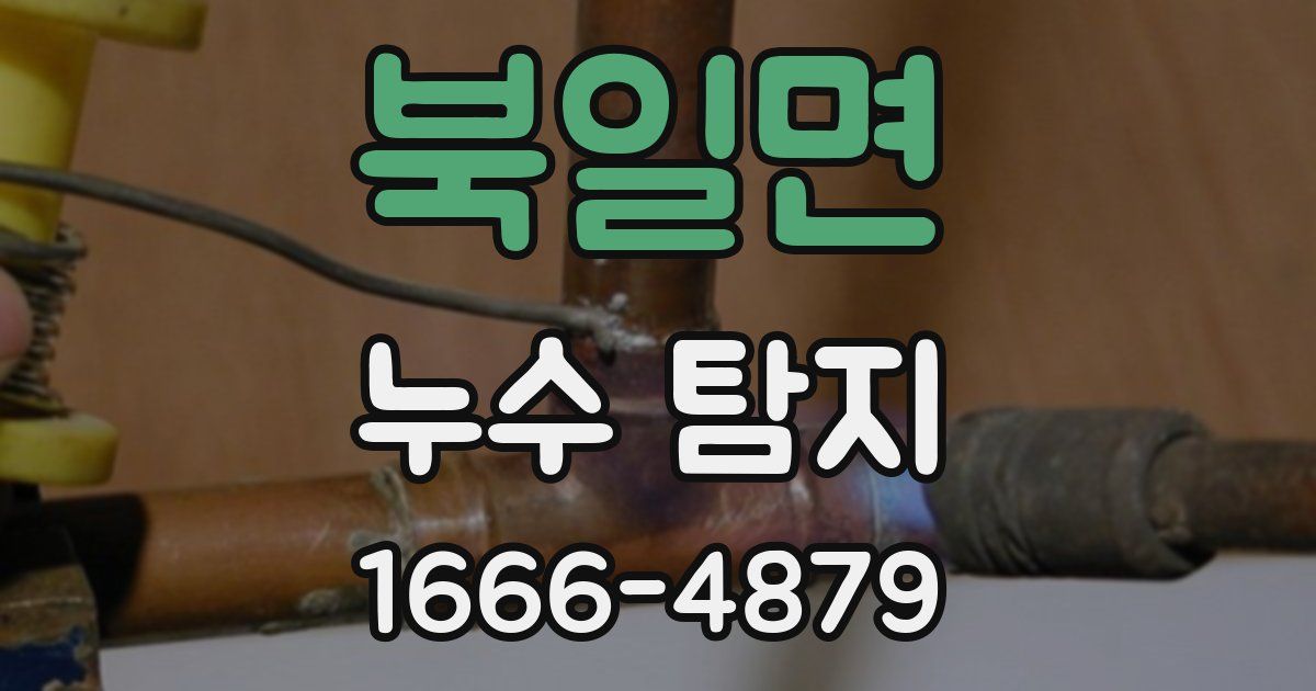 북일면 누수 탐지