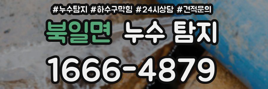 북일면 누수 탐지