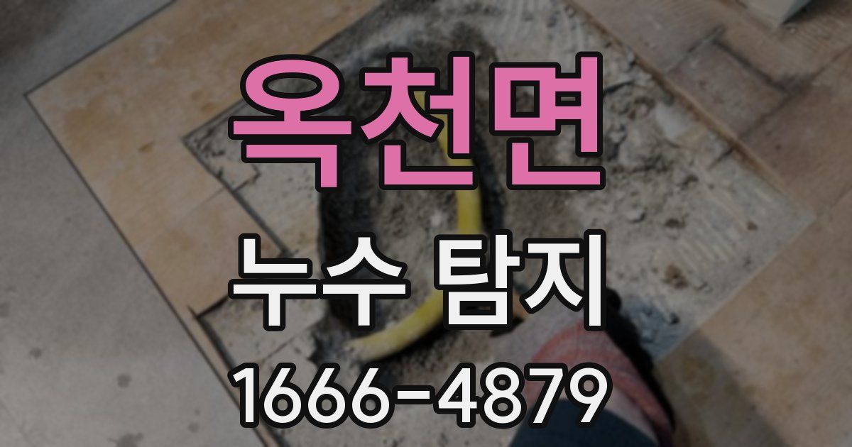 옥천면 누수 탐지