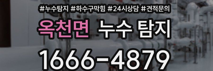 옥천면 누수 탐지