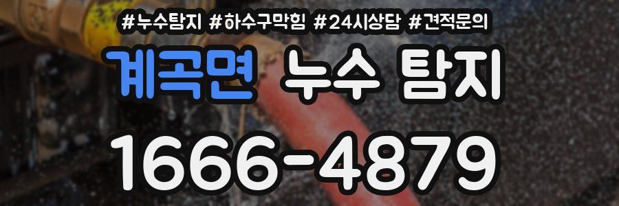 계곡면 누수 탐지
