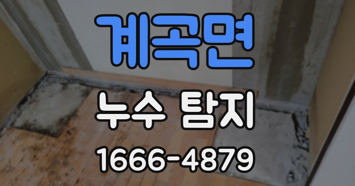 계곡면 누수 탐지