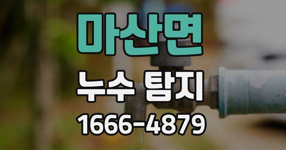 마산면 누수 탐지