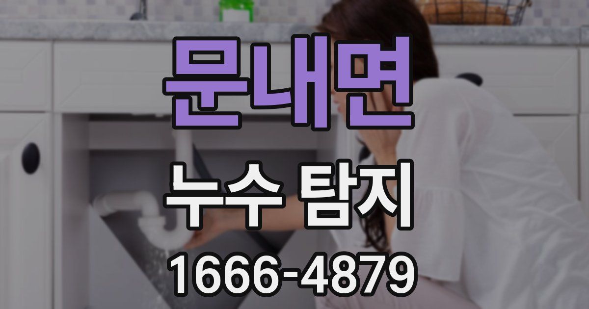 문내면 누수 탐지