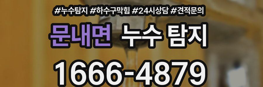 문내면 누수 탐지