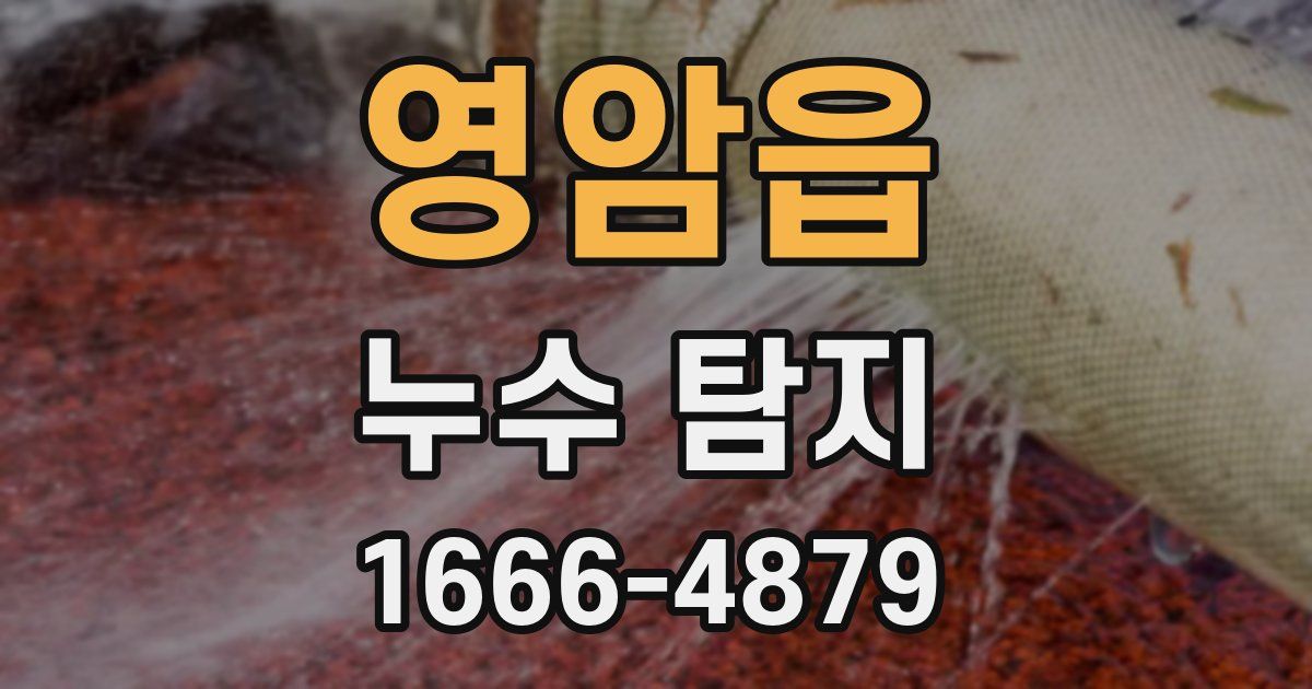 영암읍 누수 탐지