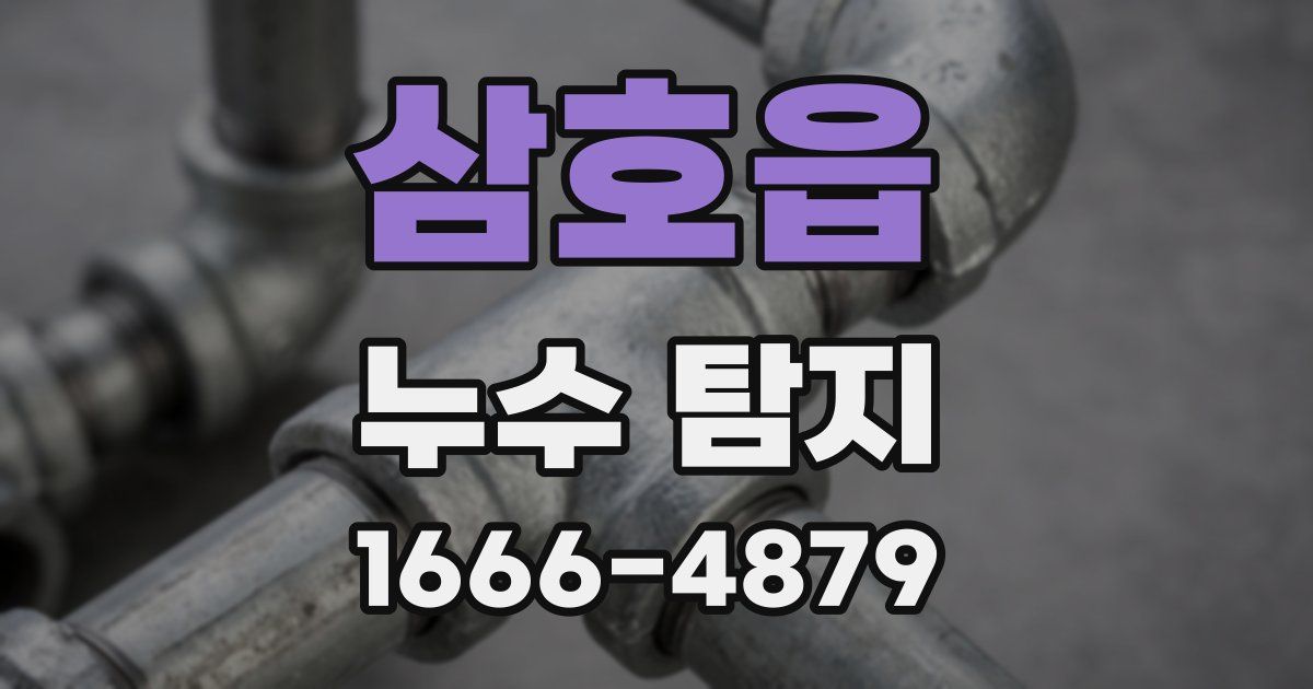 삼호읍 누수 탐지