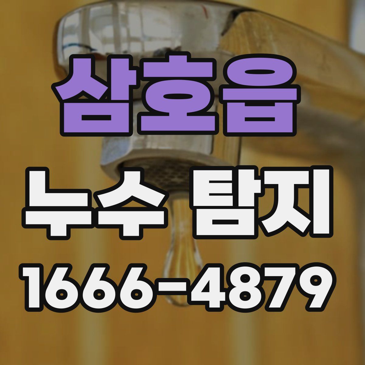 삼호읍 누수 탐지