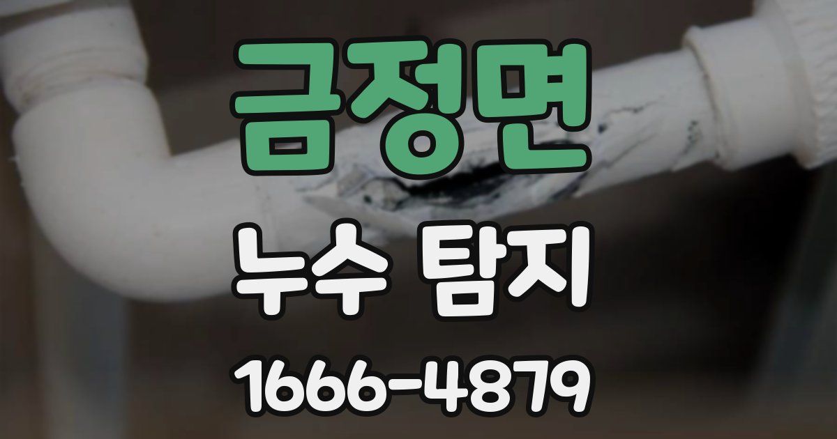 금정면 누수 탐지