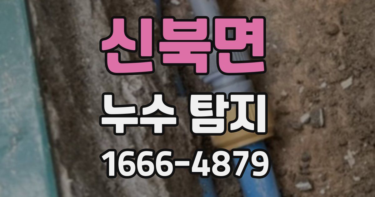 신북면 누수 탐지