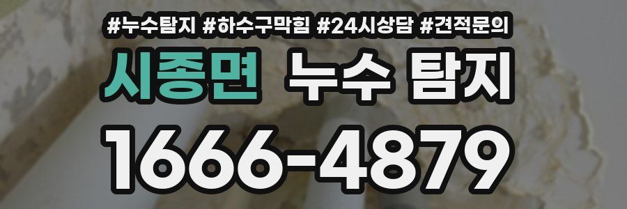 시종면 누수 탐지