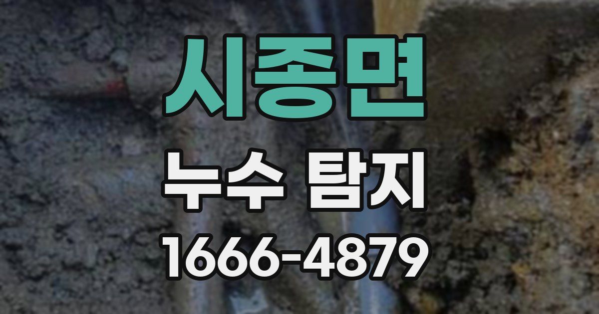 시종면 누수 탐지