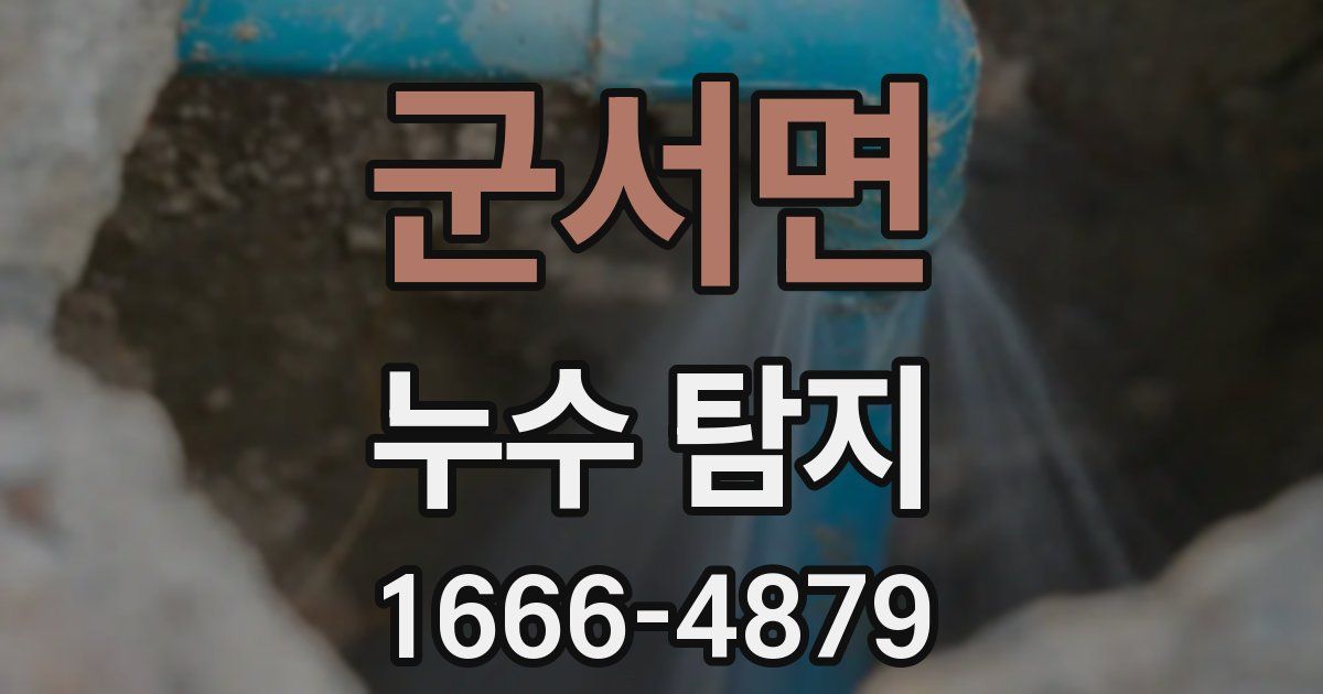 군서면 누수 탐지