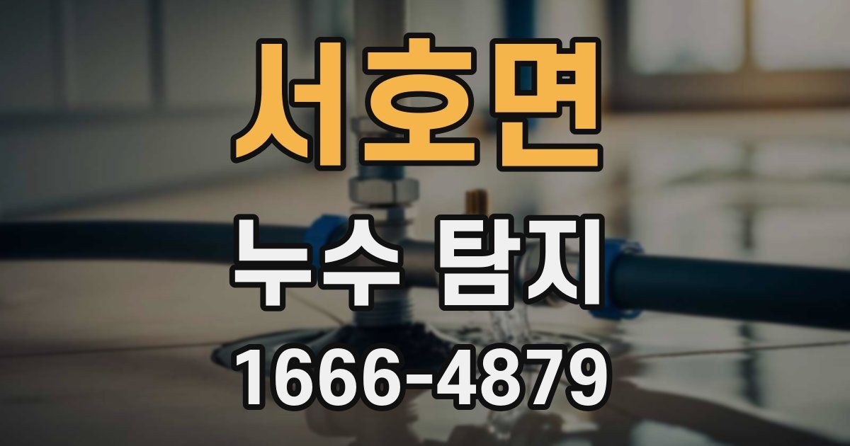 서호면 누수 탐지