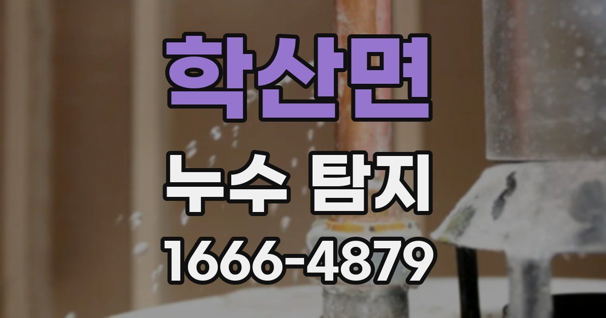학산면 누수 탐지