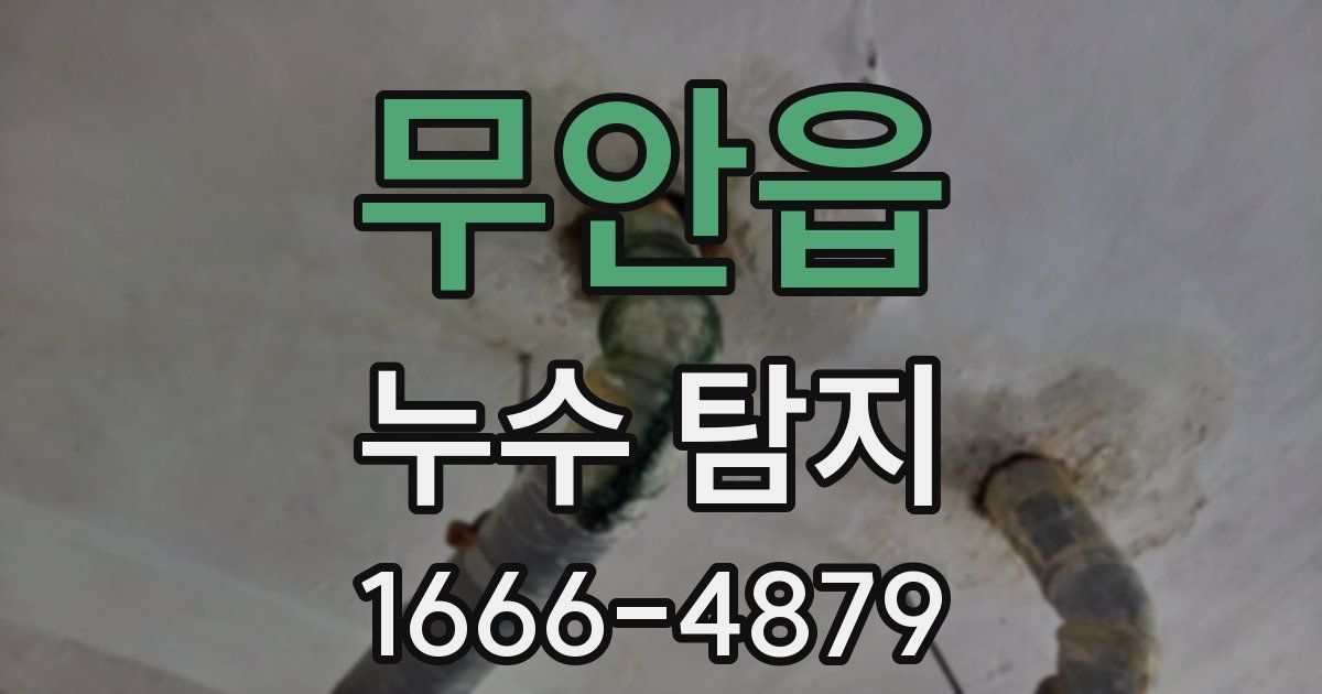 무안읍 누수 탐지