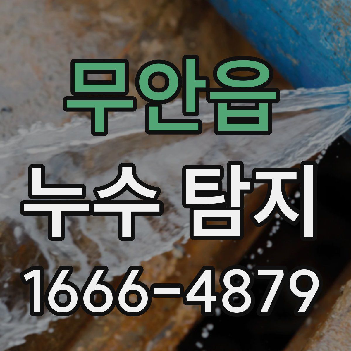 무안읍 누수 탐지