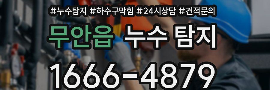 무안읍 누수 탐지