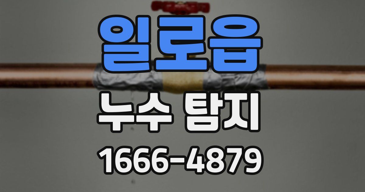 일로읍 누수 탐지