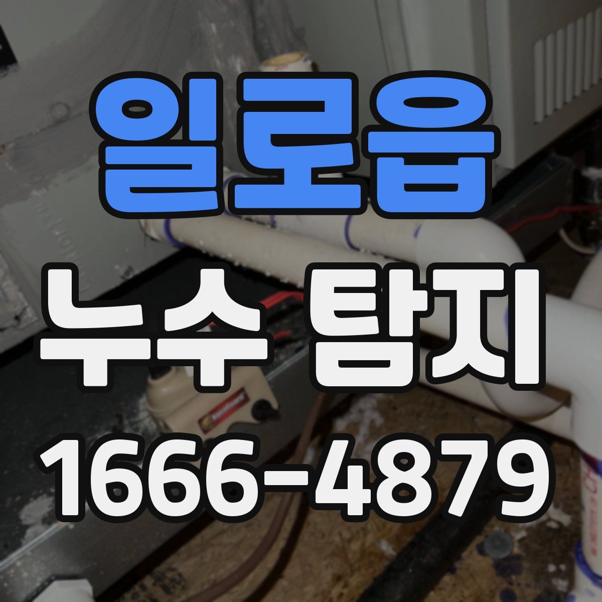 일로읍 누수 탐지
