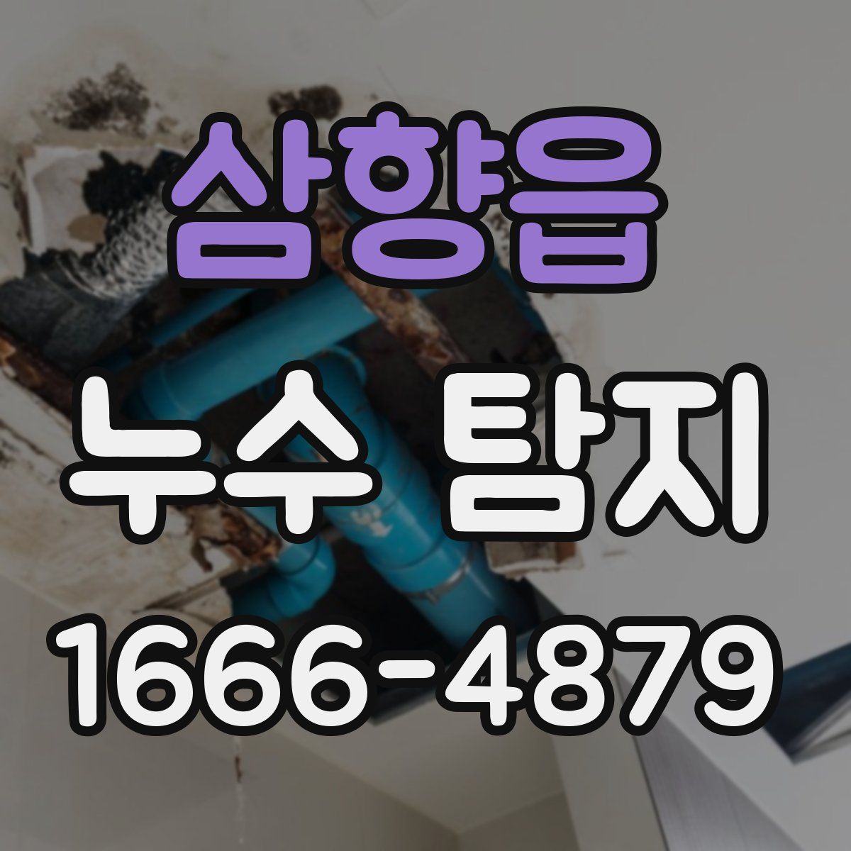 삼향읍 누수 탐지