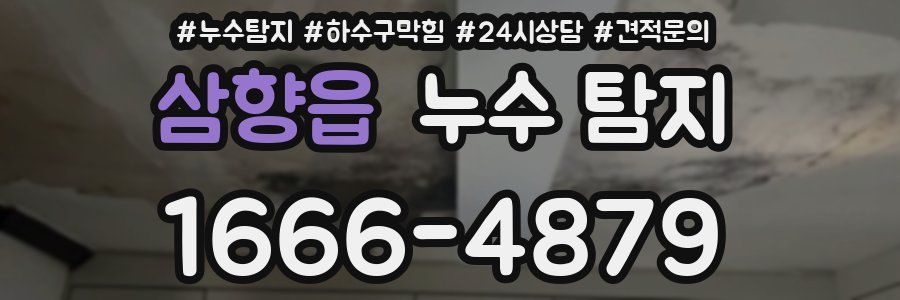 삼향읍 누수 탐지