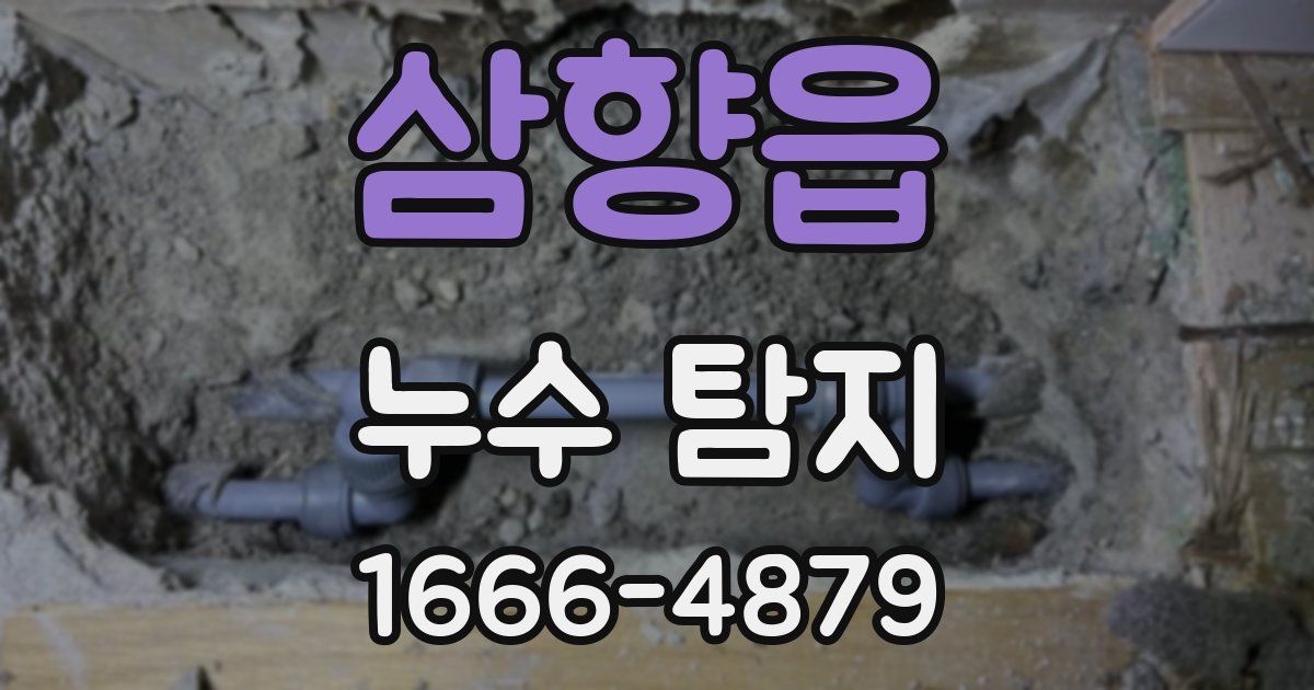 삼향읍 누수 탐지