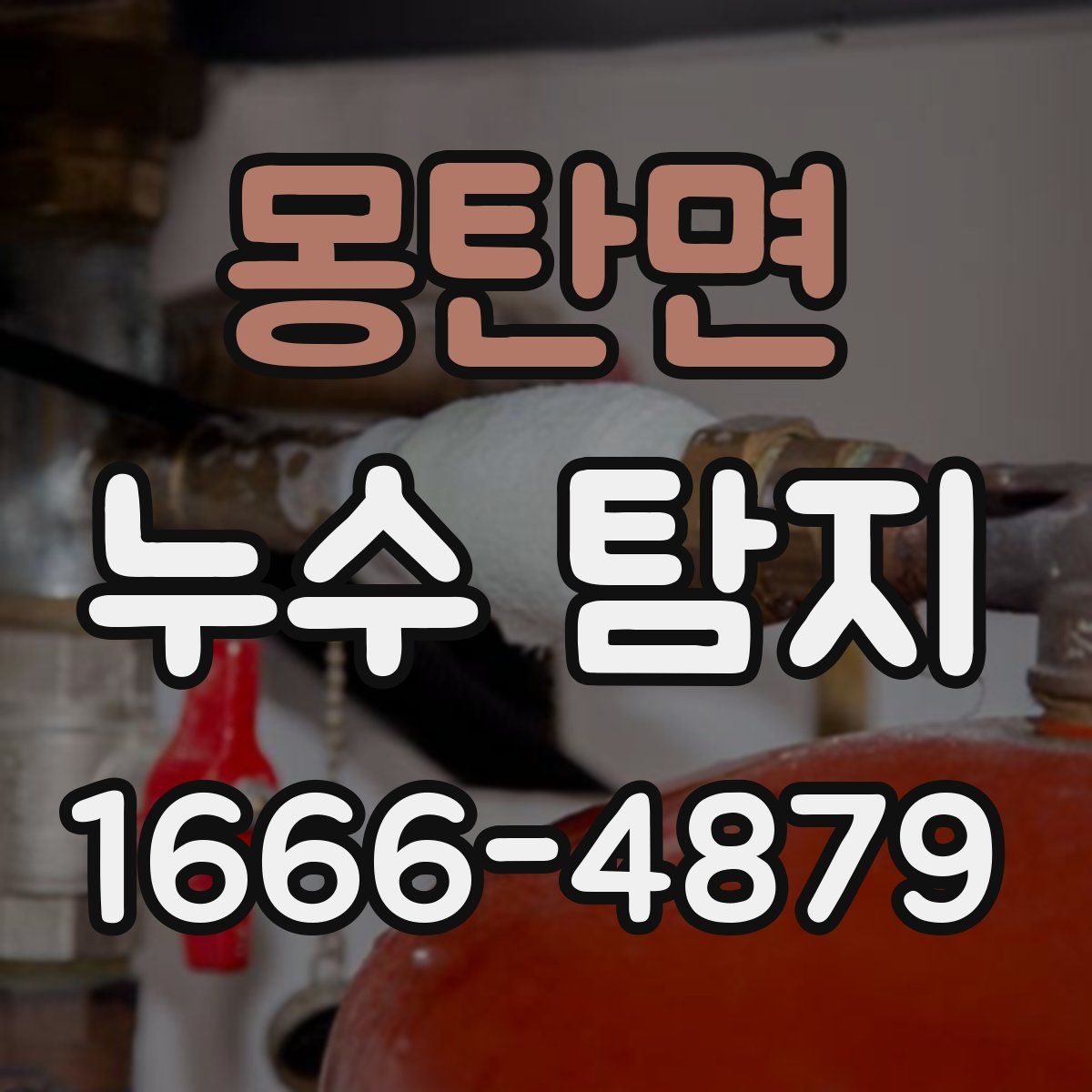 몽탄면 누수 탐지