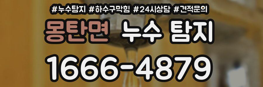 몽탄면 누수 탐지
